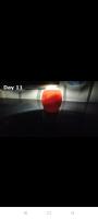 prediction_test project thumbnail