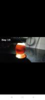 Egg Development project thumbnail