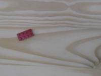Lego-Seg project thumbnail