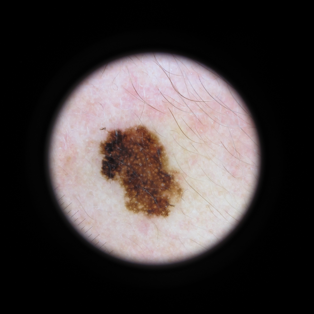 Interestingly Enough Roboflow Universe