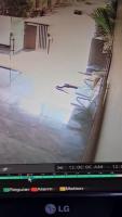 snake-detection project thumbnail