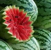 Fruit project thumbnail
