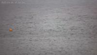 float ball wave project thumbnail