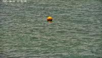 float-ball-wave-from-HK project thumbnail