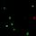 two-color_no_aug project thumbnail