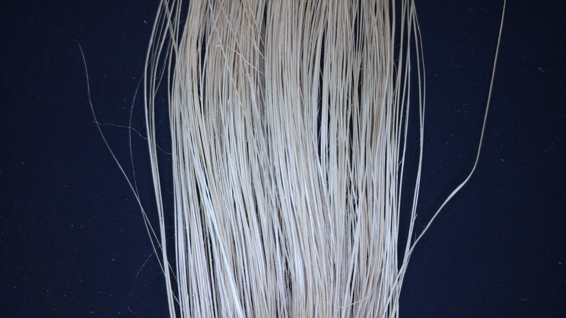 Abaca - Roboflow Universe