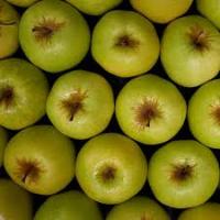 Apple project thumbnail