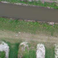 Plant Detection project thumbnail