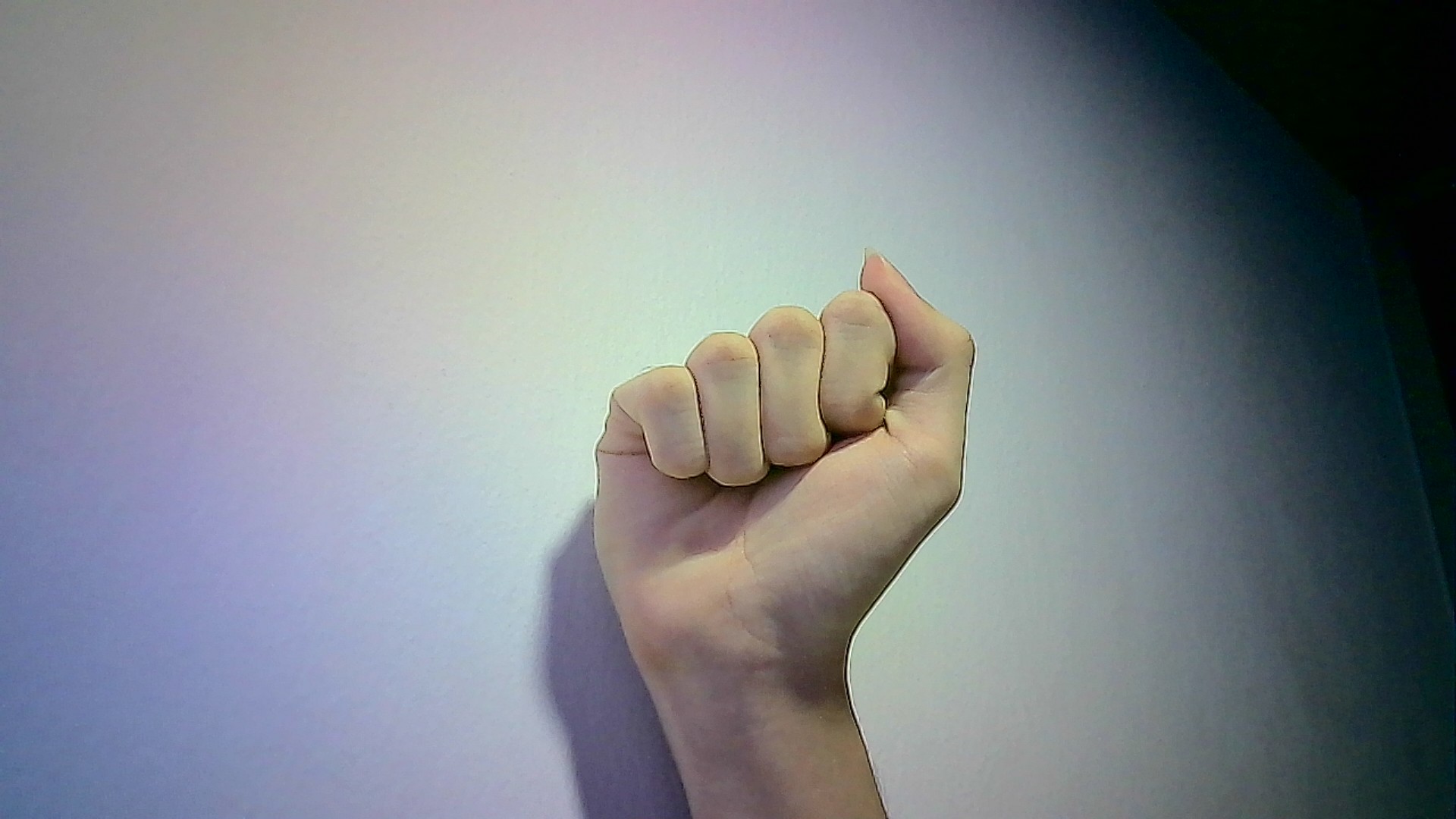 CV2 Object Detection Model by 221565ZCV