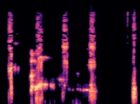 sound project thumbnail