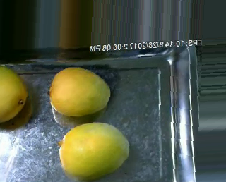 mango Object Detection Model by DataSetStudy