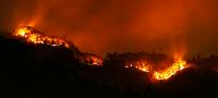 Fire_Detection project thumbnail