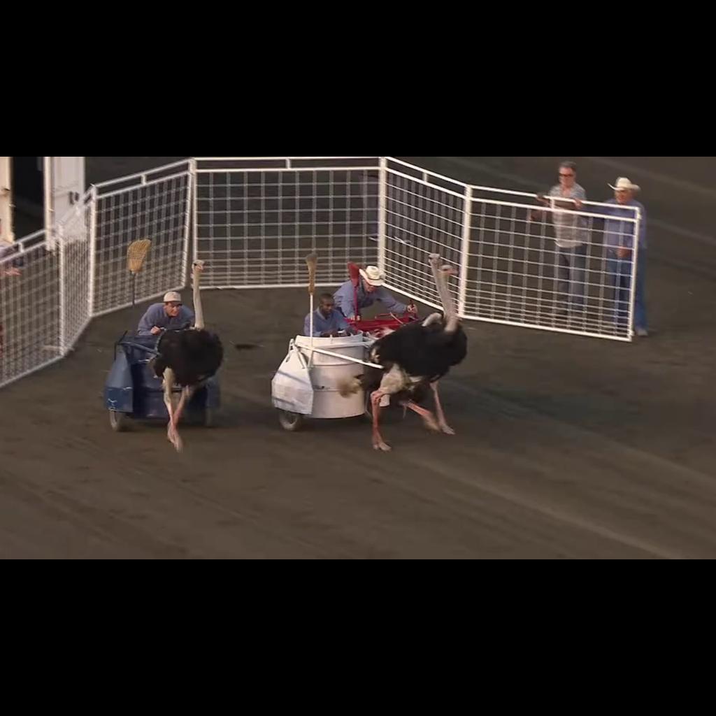 SAM_output Object Detection Dataset by YOLOv10