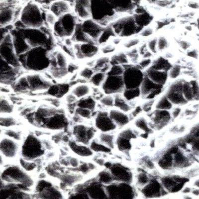 surface Object Detection Dataset by school