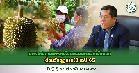 Durian project thumbnail