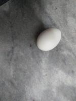Eggs project thumbnail
