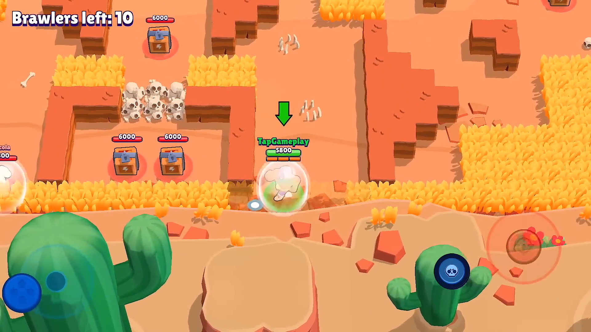 Brawl Stars Bot Object Detection Dataset by AI Training