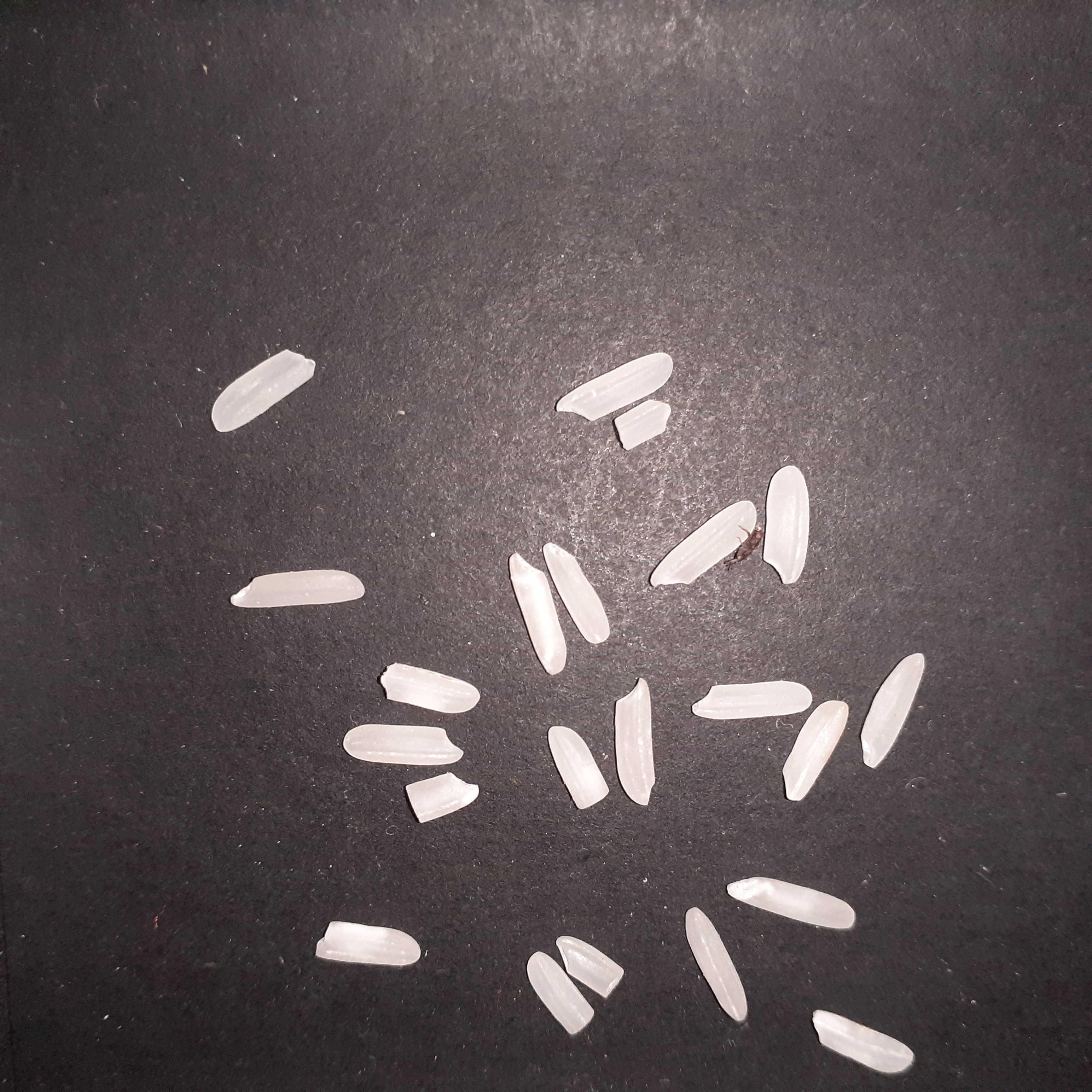 AI Rice Quality Object Detection Dataset by AI Rice Quality