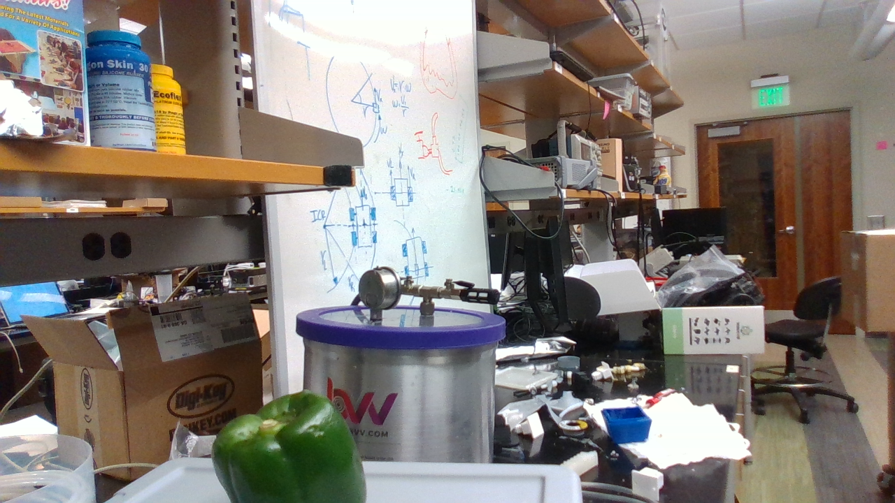 pepper Object Detection Dataset and PreTrained Model by zhengkun.li