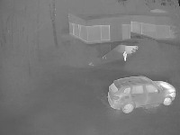 Final FLIR DataSet project thumbnail