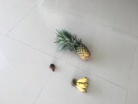 fruit project thumbnail