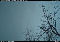 Test Project Camera Traps project thumbnail