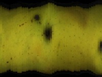 apples project thumbnail