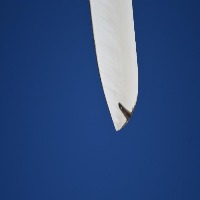 blade project thumbnail