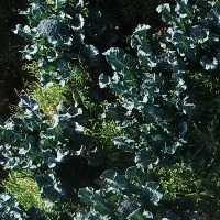 test_farm project thumbnail
