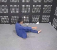 human-fall-detection-2 project thumbnail