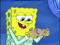SpongbobAndBaseet project thumbnail