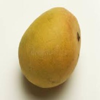 mango_stem_segmentation project thumbnail