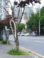 Obstructions project thumbnail