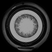 contact lens defect detection Object Detection Model by conference