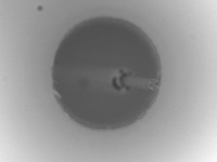 201_KonaPin project thumbnail