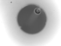 201_PogoPin project thumbnail