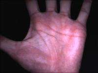 Palm Recognition - OBB project thumbnail
