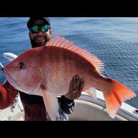 CoralReef-Fish project thumbnail