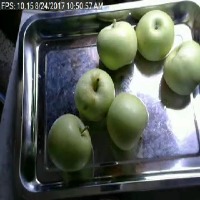 Dataset Image