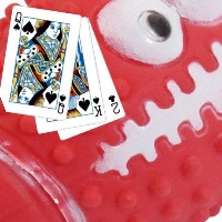 Dataset Image