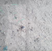 'WEEDS' project thumbnail