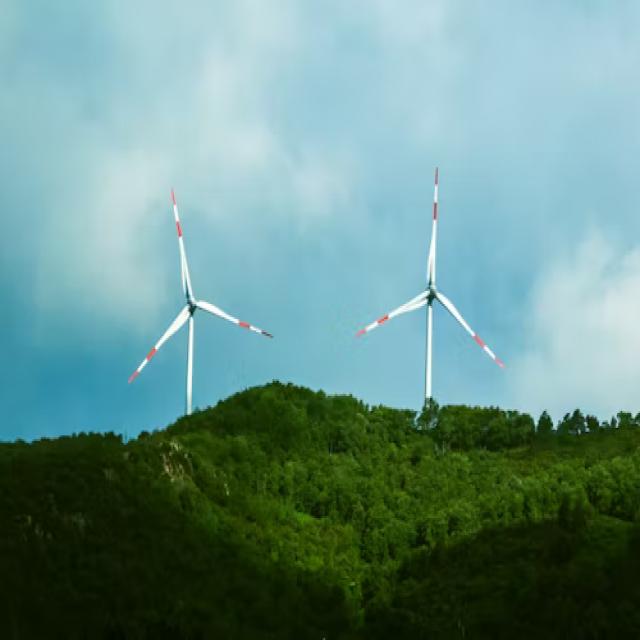 Wind_Turbine Instance Segmentation Model by Projects