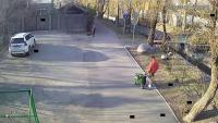 DETECTION project thumbnail