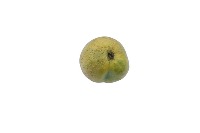 Quality of Melon project thumbnail