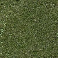 Canneberge_weeds project thumbnail