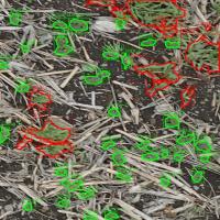 weeds_EDPA_PIB_VHR project thumbnail