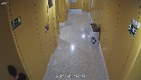 Weapon Detector project thumbnail