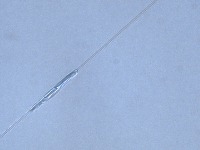 Defect Detection Photomask project thumbnail