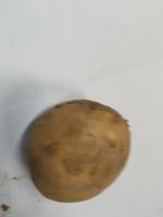 potato_1 project thumbnail