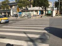 Zebra crossing project thumbnail